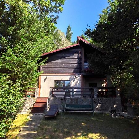 Mountain Family Chalet On Prahova Valley Comarnic Ngoại thất bức ảnh