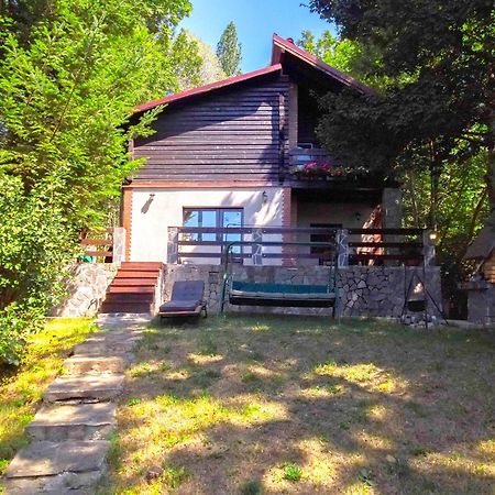 Mountain Family Chalet On Prahova Valley Comarnic Ngoại thất bức ảnh