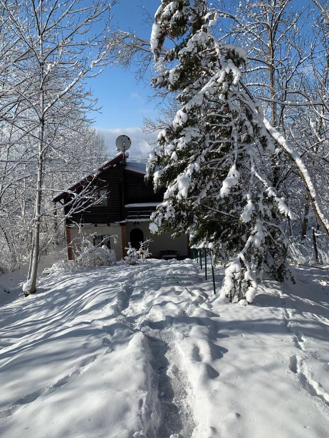 Mountain Family Chalet On Prahova Valley Comarnic Ngoại thất bức ảnh