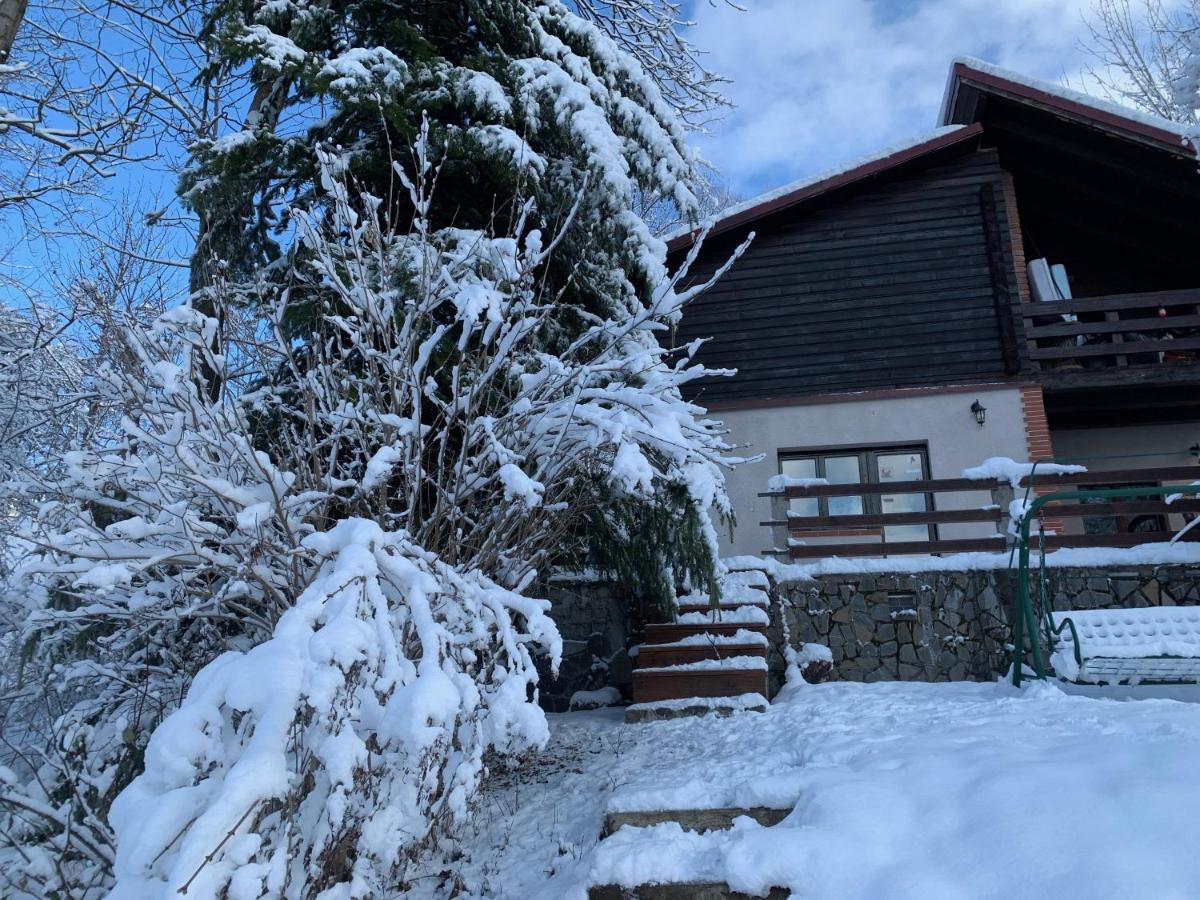 Mountain Family Chalet On Prahova Valley Comarnic Ngoại thất bức ảnh