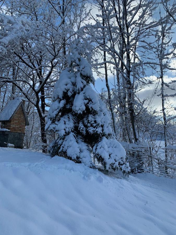 Mountain Family Chalet On Prahova Valley Comarnic Ngoại thất bức ảnh