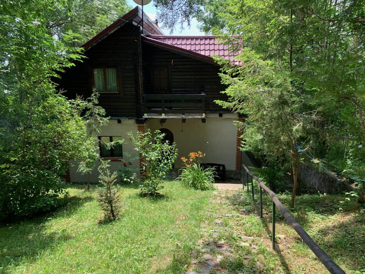 Mountain Family Chalet On Prahova Valley Comarnic Ngoại thất bức ảnh