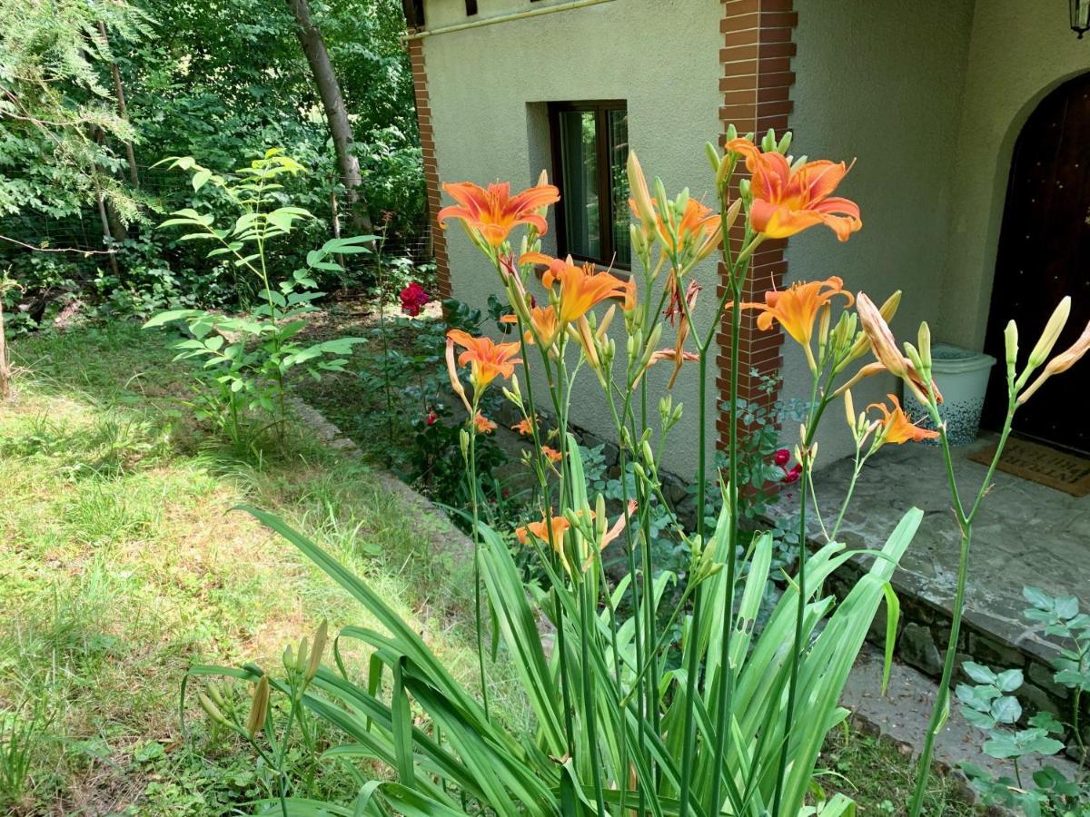 Mountain Family Chalet On Prahova Valley Comarnic Ngoại thất bức ảnh