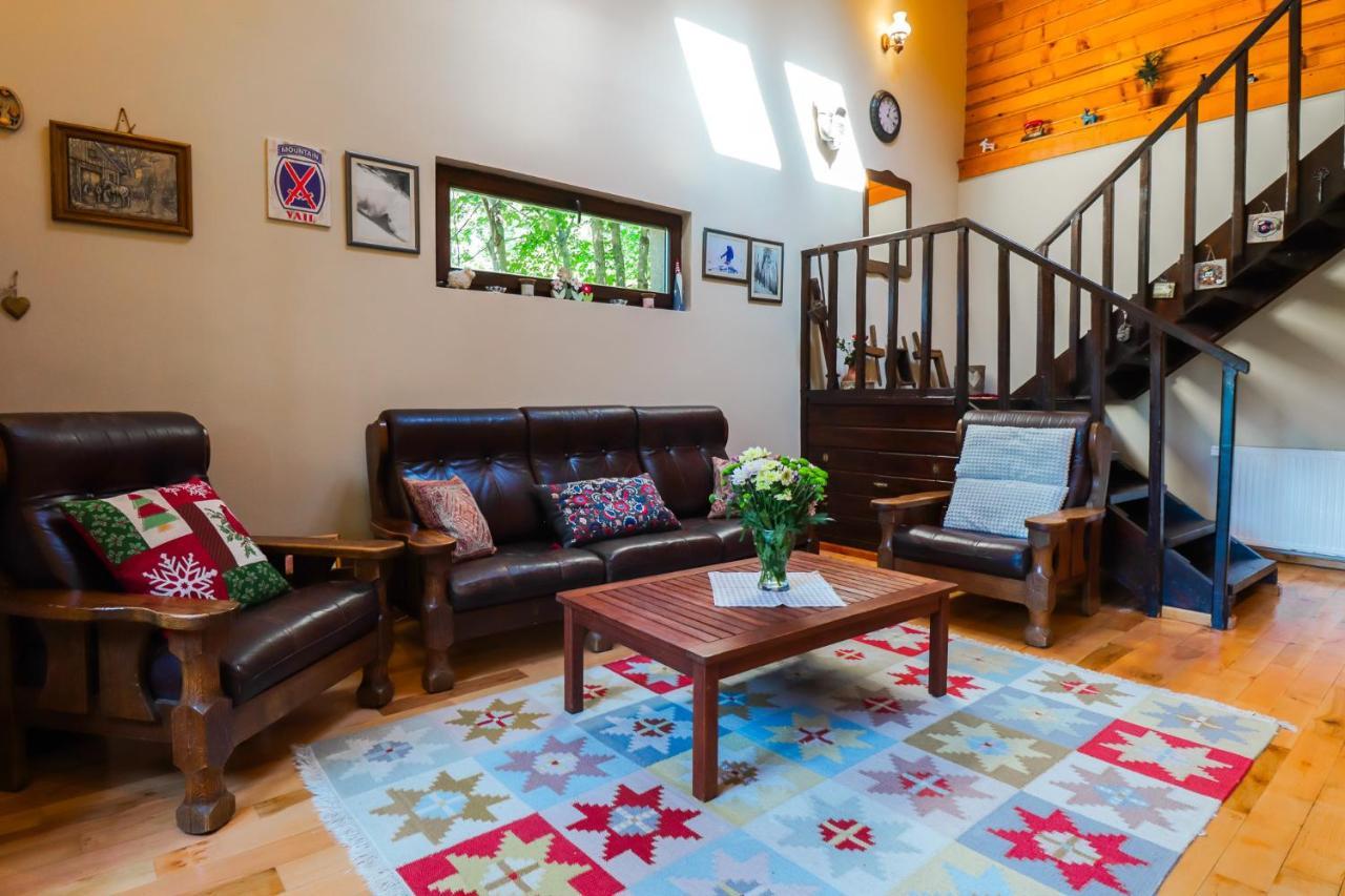 Mountain Family Chalet On Prahova Valley Comarnic Ngoại thất bức ảnh