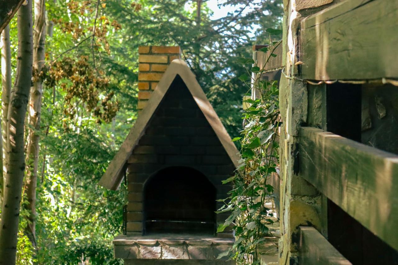 Mountain Family Chalet On Prahova Valley Comarnic Ngoại thất bức ảnh