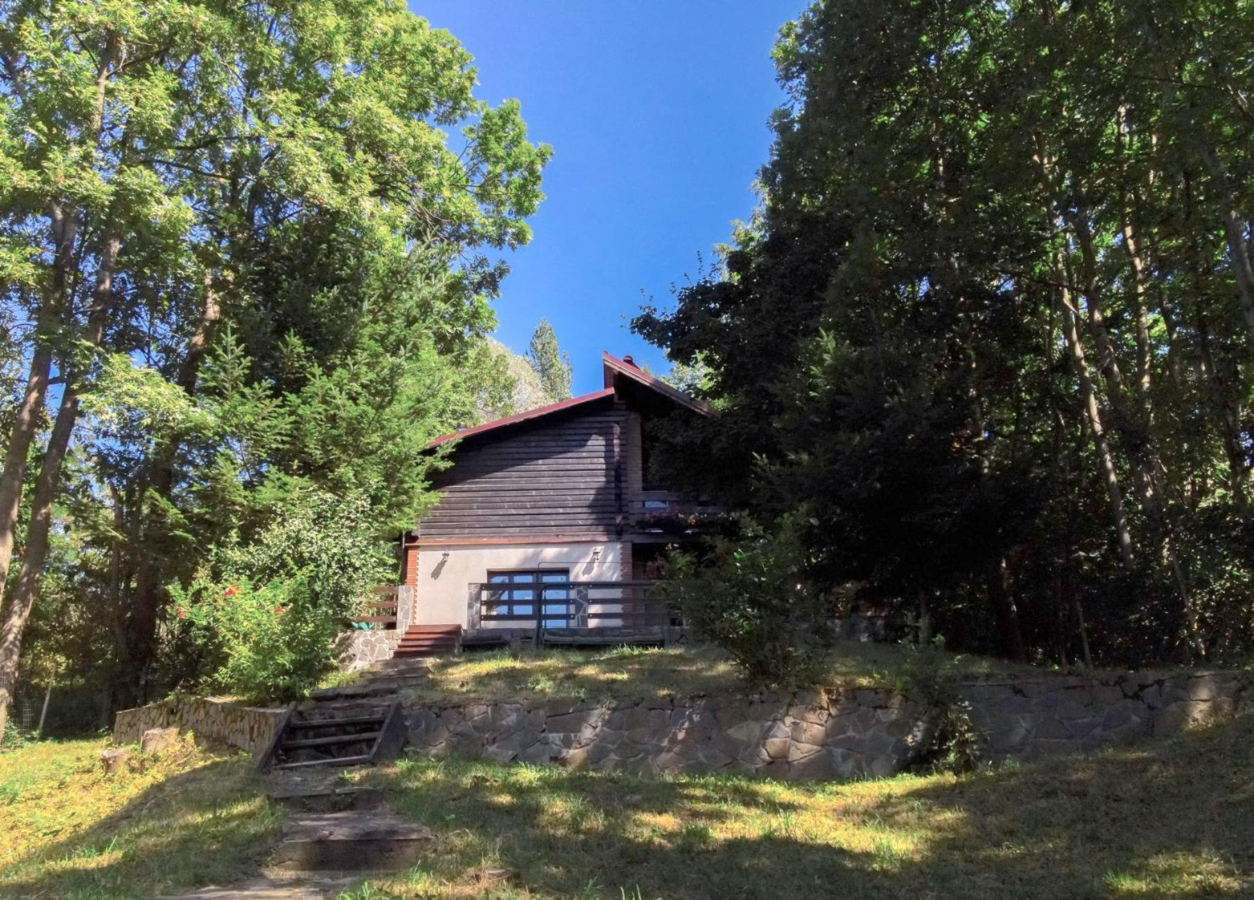 Mountain Family Chalet On Prahova Valley Comarnic Ngoại thất bức ảnh