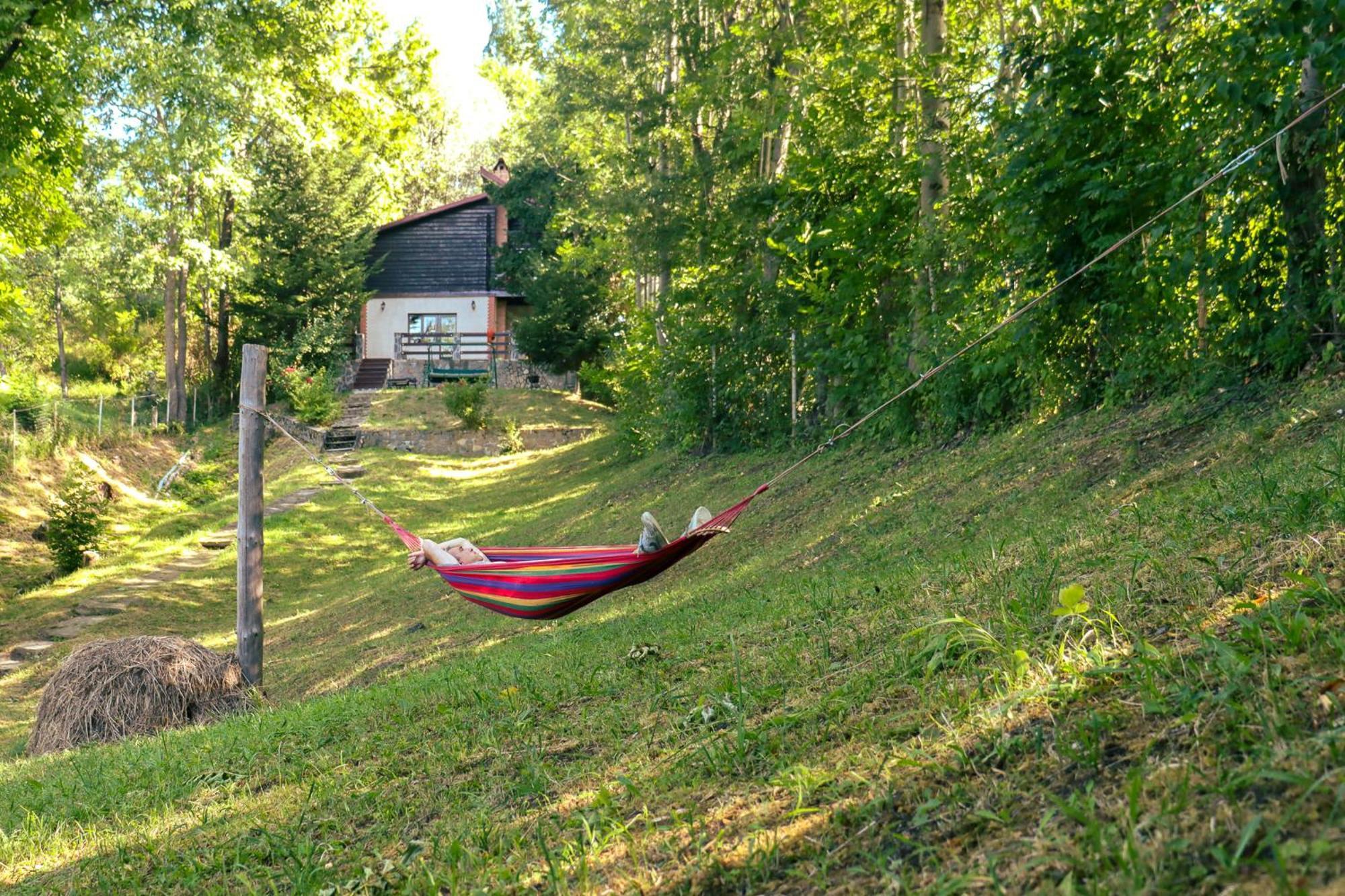 Mountain Family Chalet On Prahova Valley Comarnic Ngoại thất bức ảnh